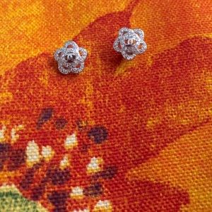 🌹Fashion Earrings ♥️2